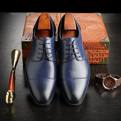 Ashborne Oxfords